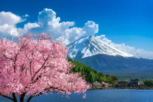 montana-fuji-y-flores-de-cerezo-en-primavera-japon