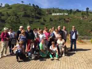 Viajes en grupo 7